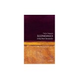 Economics: A Very Short Introduction