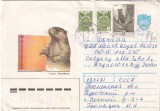 FILATELIE TEMATICA - PLIC RUSIA TEMATICA FAUNA ROZATORI, Stampilat