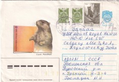 FILATELIE TEMATICA - PLIC RUSIA TEMATICA FAUNA ROZATORI