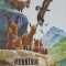 MOUNTAIN ANIMALS-NECUNOSCUT-245468