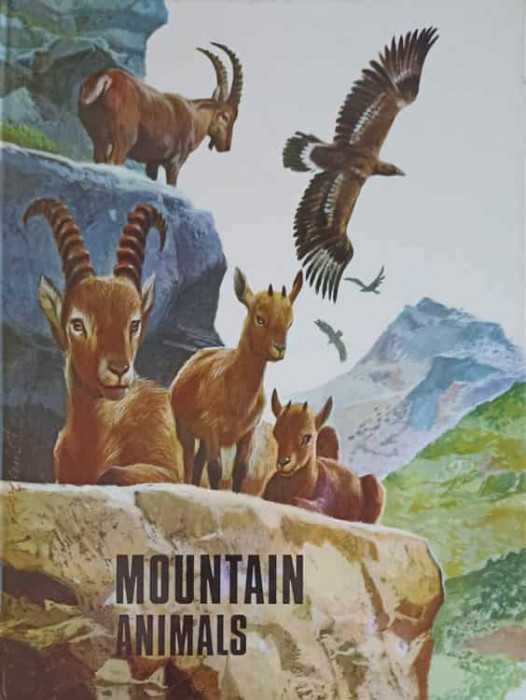 MOUNTAIN ANIMALS-NECUNOSCUT