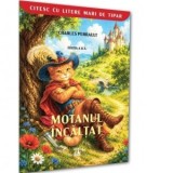 Motanul incaltat. Colectia Citesc cu litere mari de tipar. Editia a II-a