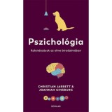 Pszichol&oacute;gia - Kalandoz&aacute;sok az elme birodalm&aacute;ban - Joannah Ginsburg