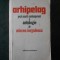 MIRCEA IORGULESCU - AHIPELAG