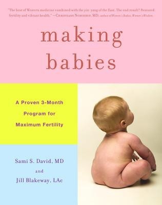 Making Babies: A Proven 3-Month Program for Maximum Fertility foto
