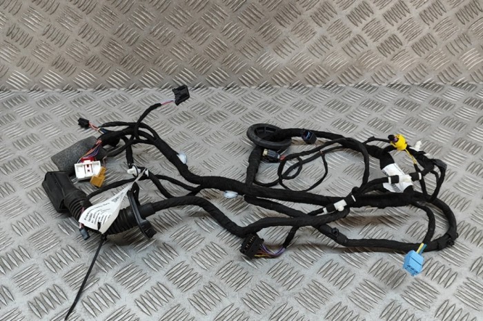 Cablaj ușă st&acirc;nga față AUDI E-TRON GEN 2019 OEM: 4KE971029EC | 28515627
