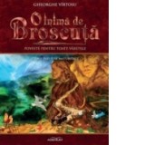 O inima de broscuta. Poveste pentru toate varstele. Volumul II - Primii pasi spre maturitate - Gheorghe Virtosu