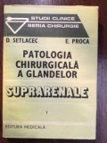 Patologia chirurgicala a glandelor suprarenale 1- D. Setlacec, E. Proca