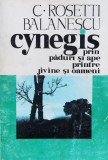 Cynegis Prin Paduri Si Ape Printre Jivine Si Oameni - C. Rosetti Balanescu , F827