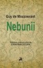 Nebunii - Guy de Maupassant, Roman, Beletristica