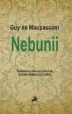 Nebunii - Guy de Maupassant, Roman, Beletristica