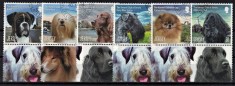 JERSEY 2013 - Rase de caini /serie completa MNH