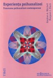 Stephen A. Mitchell, Margaret J. Black - Experienta psihanalizei. Panorama, Trei