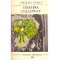 Virginia Woolf - Doamna Dalloway - 137327