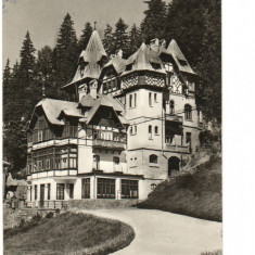 CPI B 10989 CARTE POSTALA - VILA LA SINAIA