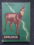 ZOOLOGIE MANUAL PENTRU CLASA A IX-A - Bogoescu, Sanielevici 1958