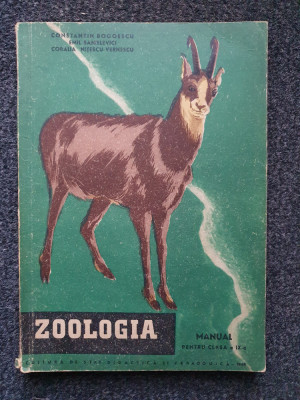 ZOOLOGIE MANUAL PENTRU CLASA A IX-A - Bogoescu, Sanielevici 1958 foto