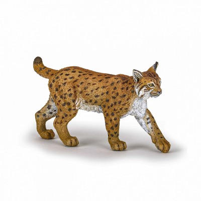 PAPO FIGURINA RAS foto