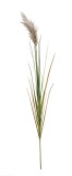 Cumpara ieftin Set 5 Pampas artificial verde maro &Oslash;18x140h