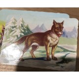 (2) Act Surprize reclama la Cafea Brasov