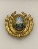 Insigna militară