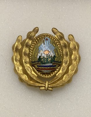 Insigna militară foto