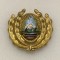Insigna militară