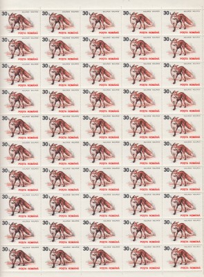 1993 LP 1318 ANIMALE VALOAREA 30 L HARTIE ALBA FILIGRAN COALA 50 TIMBRE MNH foto