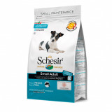 Schesir dog Small Adult - Ton și hering cu orez 800 g