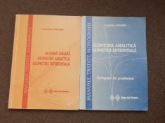 ALGEBRA LINIARA/GEOMETRIE ANALITICA/GEOMETRIE DIFERENTIALA CULEGERE DE PROBLEME ECATERINA CIOARA