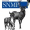 Essential SNMP