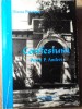 Confesiuni Petru P. Andrei - Diana Petrisor, Ankarom 1997, Biografii Memorii, 178 pagini