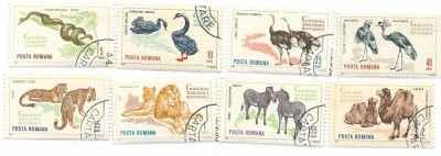 Romania (211) - Gradina Zoologica din Bucuresti, 1964 - serie obliterata foto