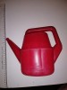 JUCARIE ROMANEASCA, , STROPITOARE , ANII 80