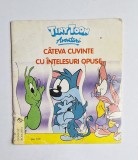 C&acirc;teva cuvinte cu &icirc;nțelesuri opuse &ndash; Tiny Toon Aventuri, Ed. Egmont Rom&acirc;nia, 1994