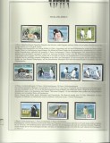 FALKLAND 2005 FAUNA PASARI PINGUINI - PE CARTON DE PREZENTARE