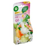 Rezerva odorizant camera electric Air Wick, Summer Delight, 19 ml