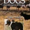 Herding Dogs: Progressive Training