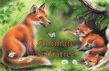 Cumpara ieftin Animale salbatice |, Aquila