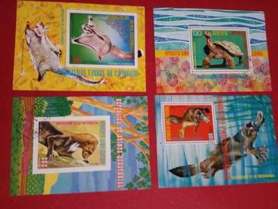 GUINEA ECUATORIALA, FAUNA - 4 COLIȚE ȘTAMPILATE foto