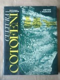 Petre I. Roman - Cultura Coțofeni (1976; tiraj 1530 ex.)