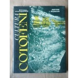 Petre I. Roman - Cultura Coțofeni (1976; tiraj 1530 ex.)
