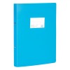 Biblioraft A4 Bleu, 2 Inele, 40+ File, Coperta Plastic, 31x23cm, Plastifiat