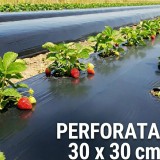 Folie de mulcire 1,2 m, 30 microni , neagra, perforata, rola 1000 m