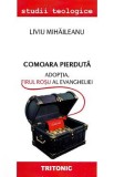 Comoara pierduta. Adoptia, firul rosu al Evangheliei - Liviu Mihaileanu