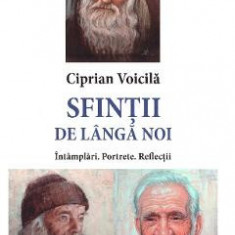 Sfintii de langa noi. Intamplari. Portrete. Reflectii - Ciprian Voicila