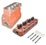 Bloc motor pe cuzinet/inel cu chiulasa asamblata pentru tractor UTB U-650 103.01.066 / 110.02.909