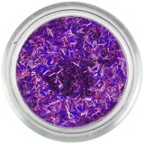 F&acirc;şii nail art - decoraţiuni mov &icirc;nchis, hologramă, INGINAILS