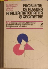 PROBLEME DE ALGEBRA ANALIZA MATEMATICA SI GEOMETRIE. 173 TESTE PENTRU INVATAMANTUL PREUNIVERSITAR-M. BECHEA-233056