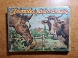 Carte cartonata pliabila - animale si pasari domestice - din anii &#039;60 - &#039;70